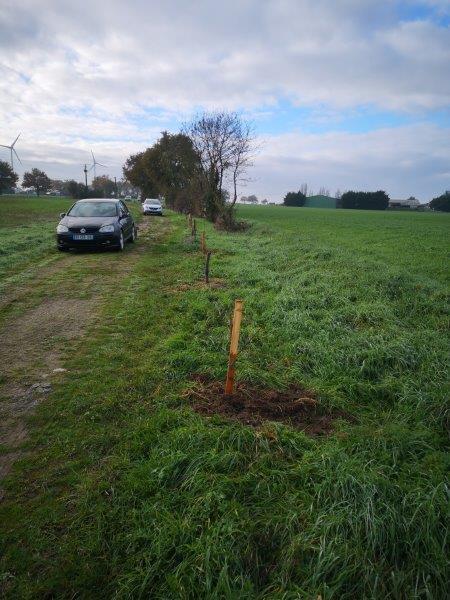 linéaire du sentier